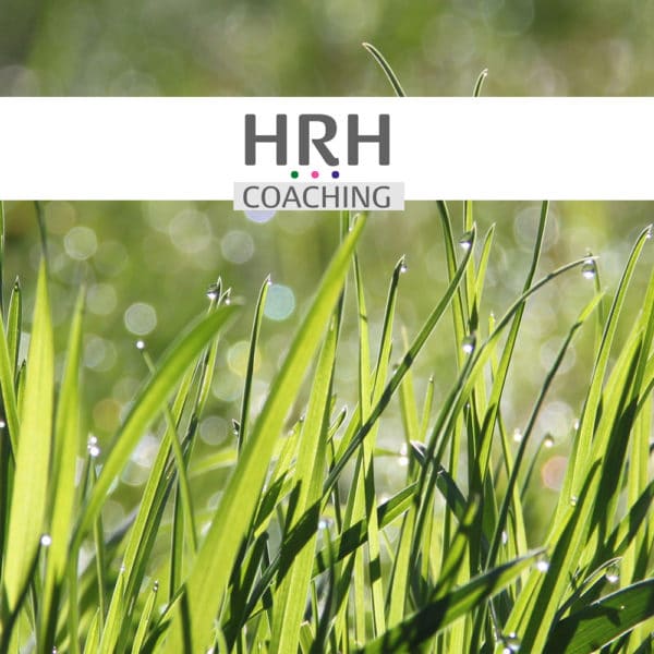 HRH Coaching in Bad Münster Eifel
