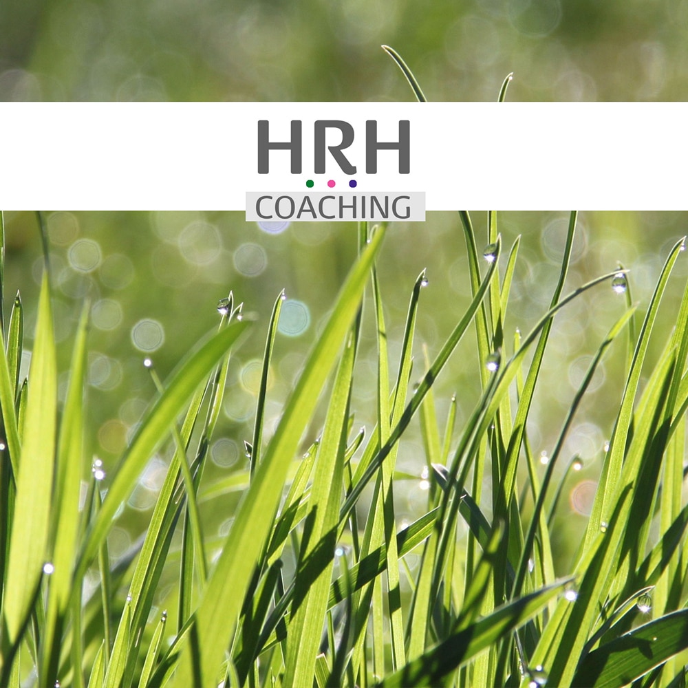 Titelbild hrh-coaching.de